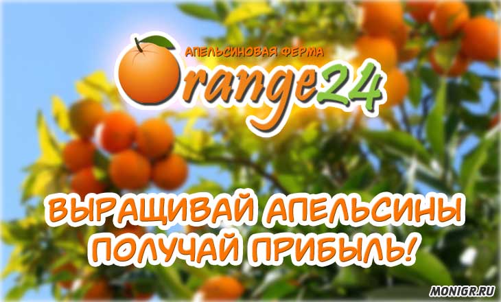 Orange24 - Апельсиновая ферма