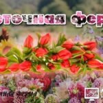 Flower Farm Game - Цветочная ферма